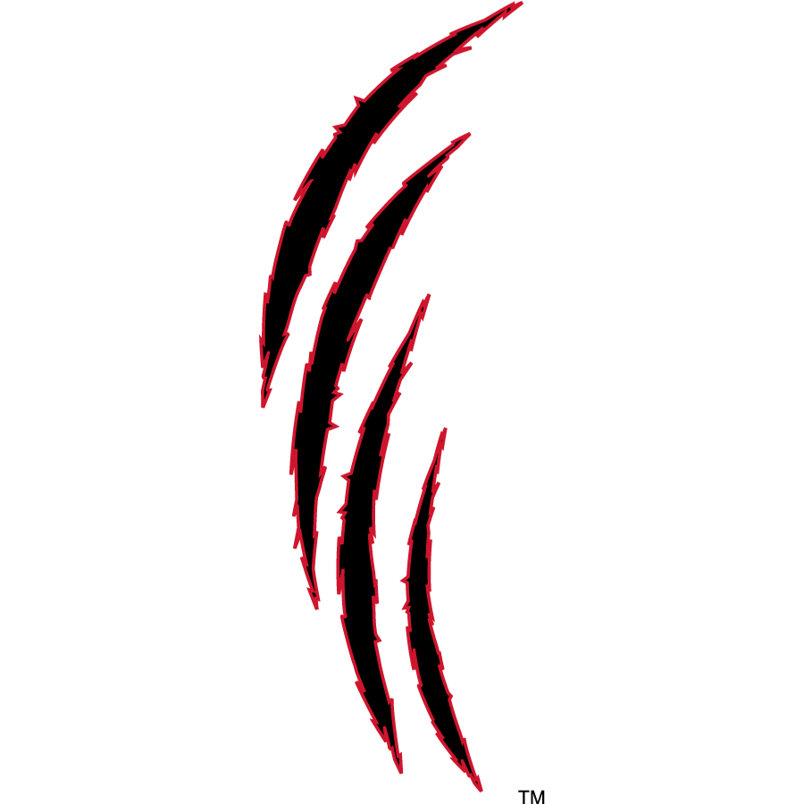 Cincinnati Bearcats 2010-2015 Secondary Logo diy iron on heat transfer